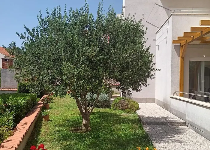 Lisa Apartman Zadar